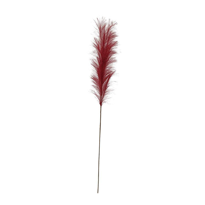 Red Pampas Plume