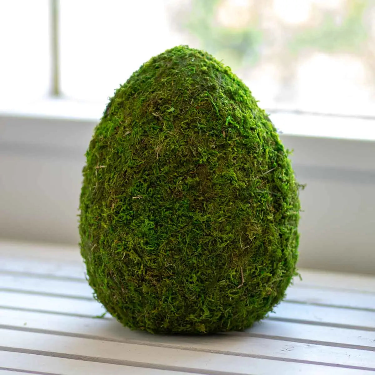 Moss Egg