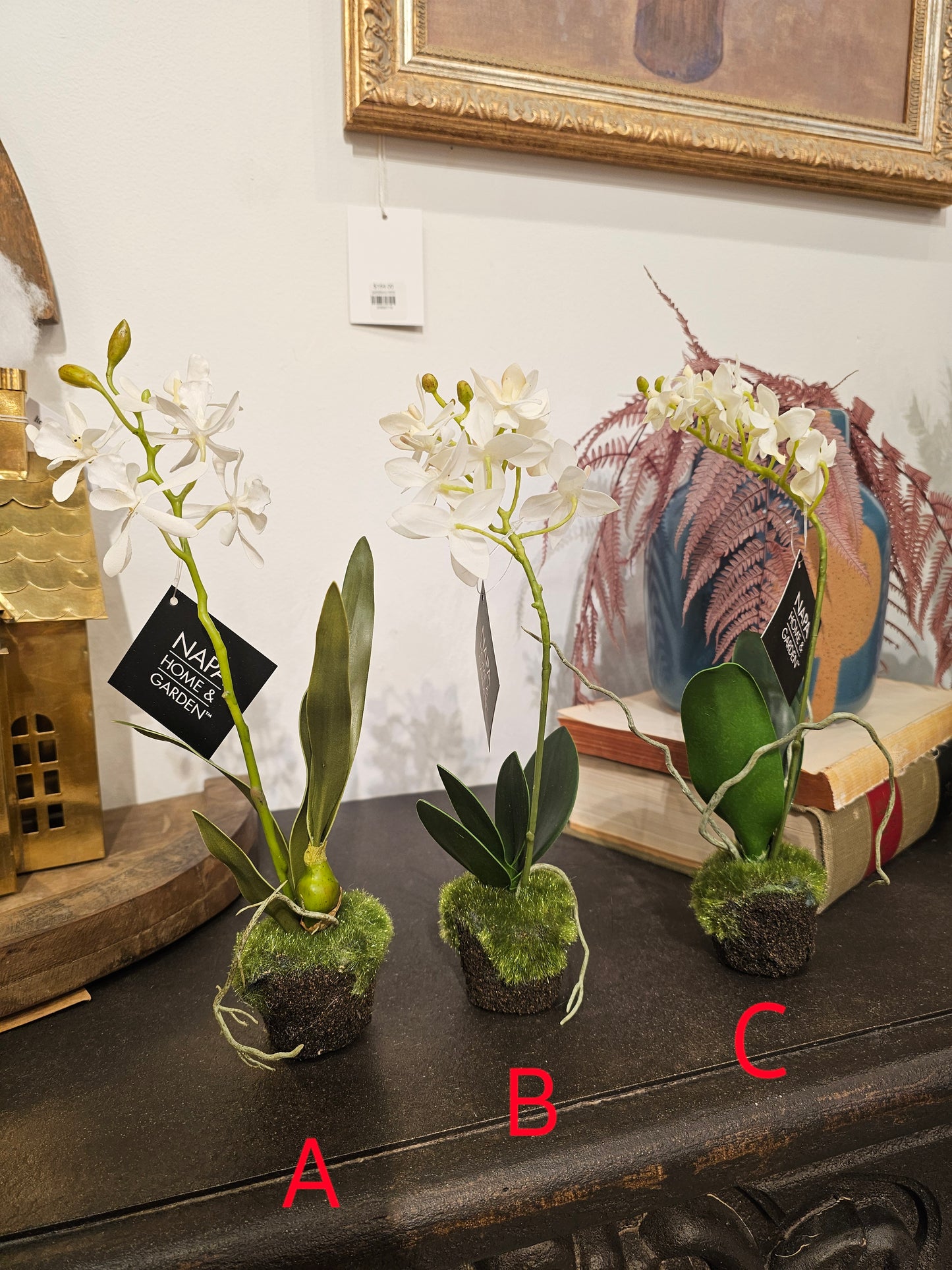 Dendrobium Orchid Drop-Ins 12"