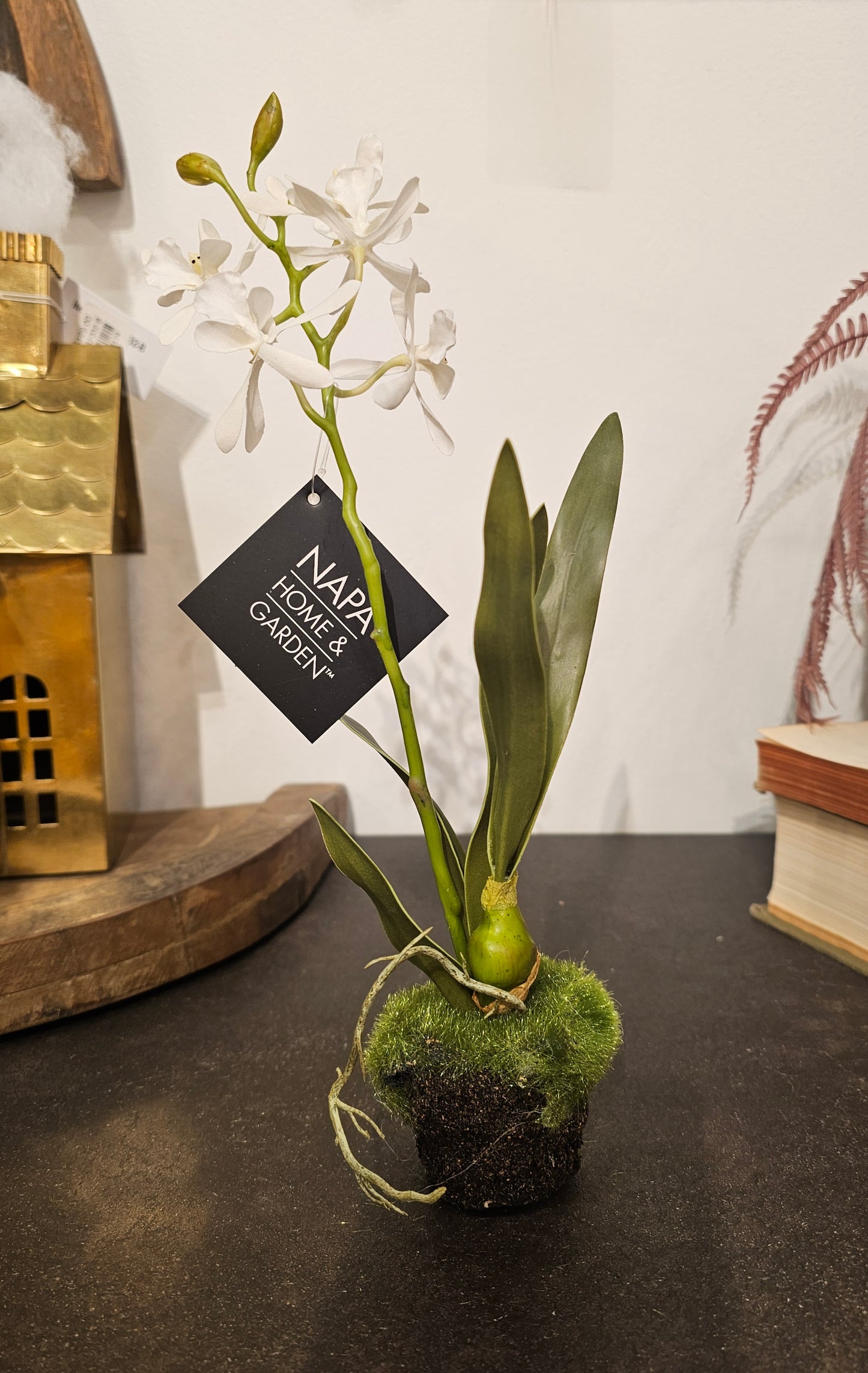 Dendrobium Orchid Drop-Ins 12"