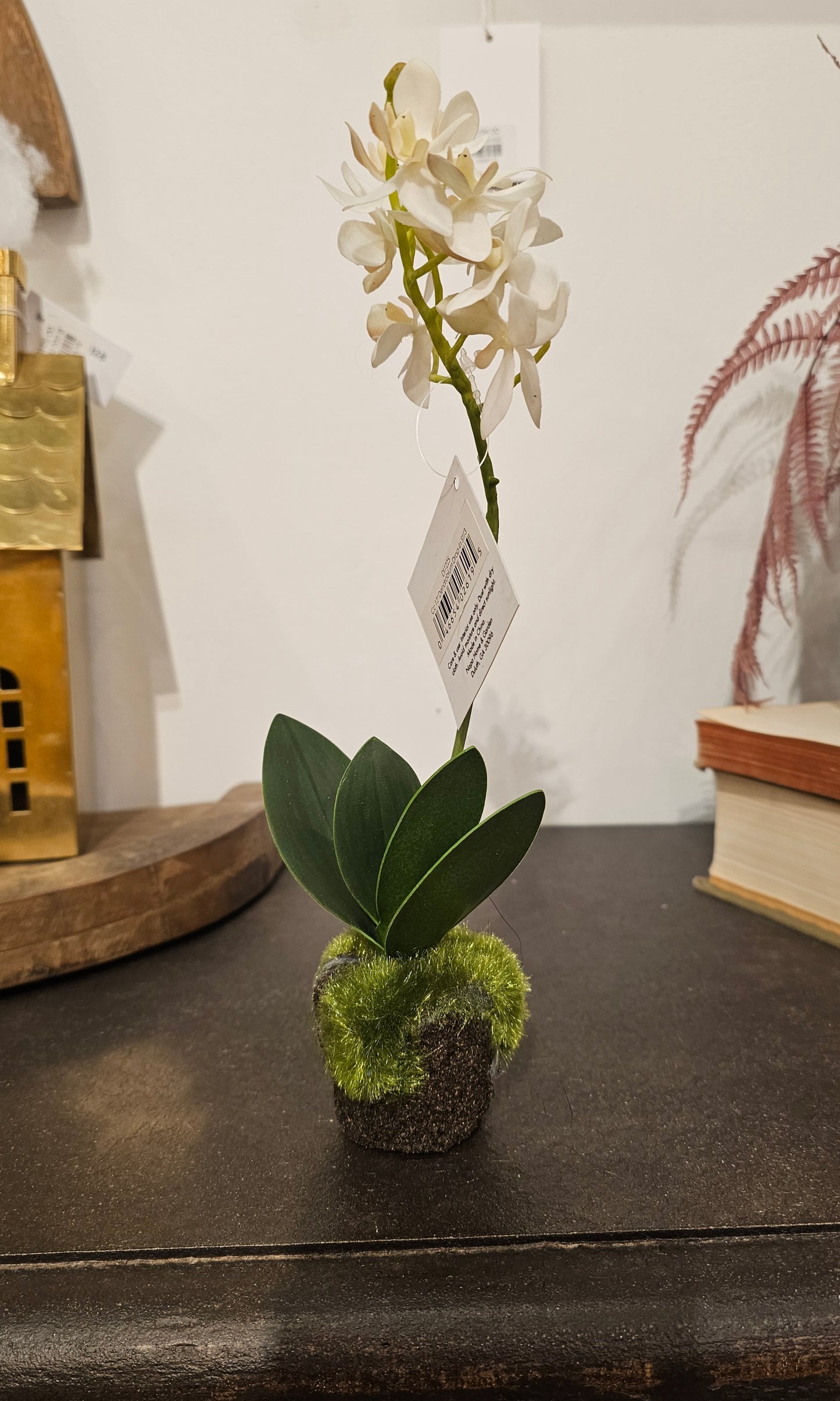 Dendrobium Orchid Drop-Ins 12"