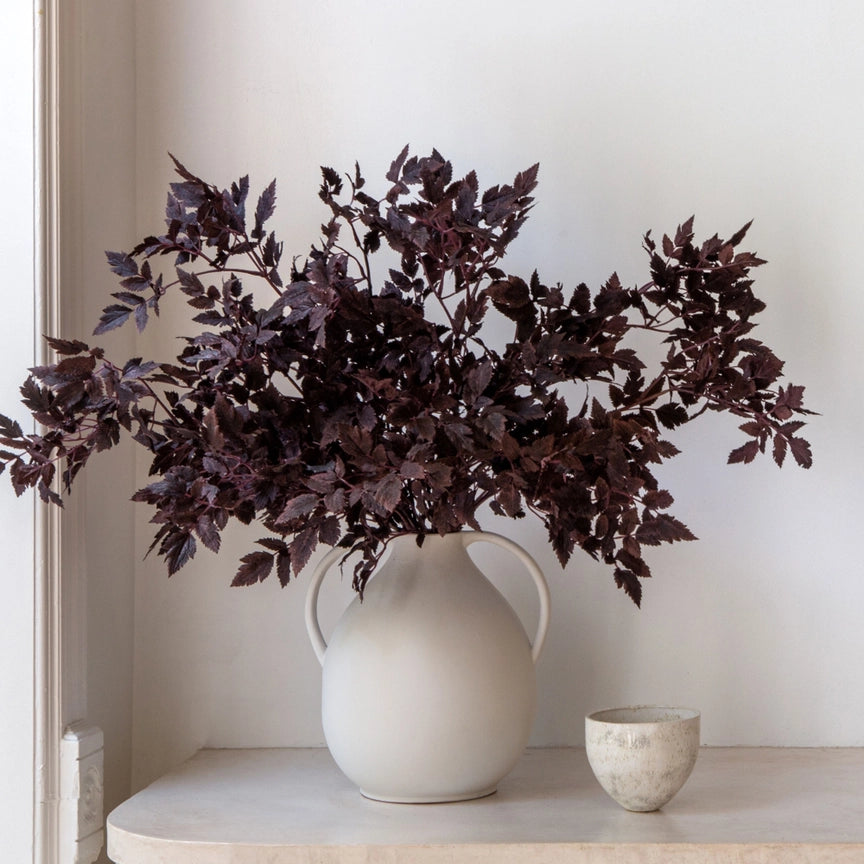 Fall Stem, Plum Cimicifuga Ramosa Leaves (Pre-Order)