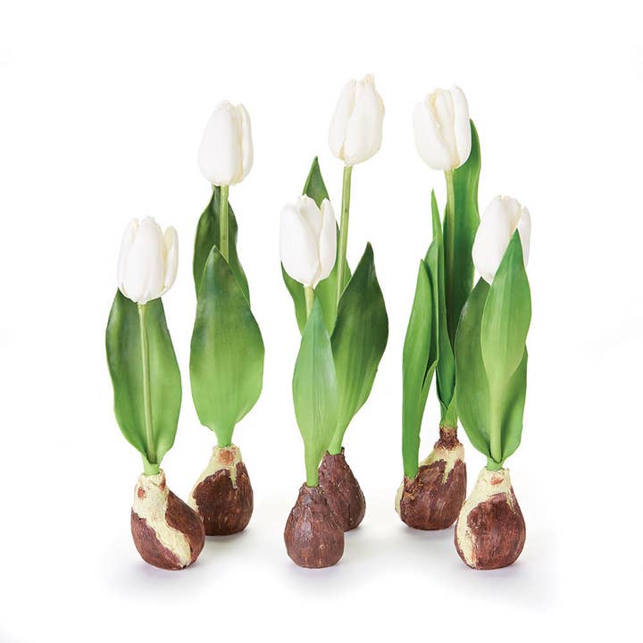 Standing Tulips with Bulbs