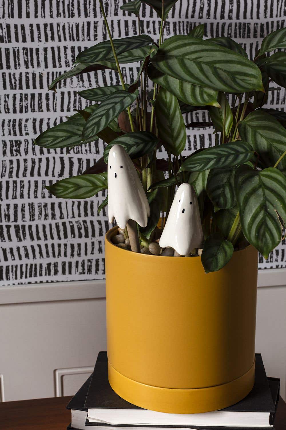 Fall-Casper Plant Stick