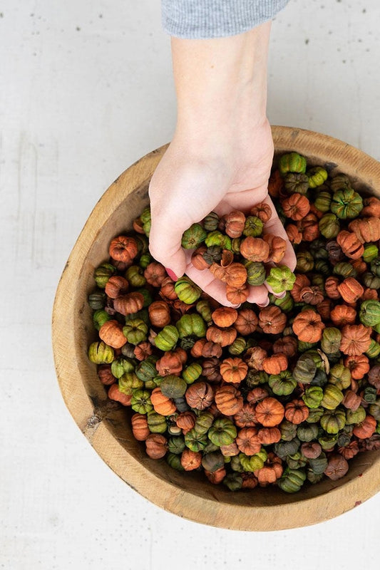 Potpourri Bag of Orange and Green Putka Pods