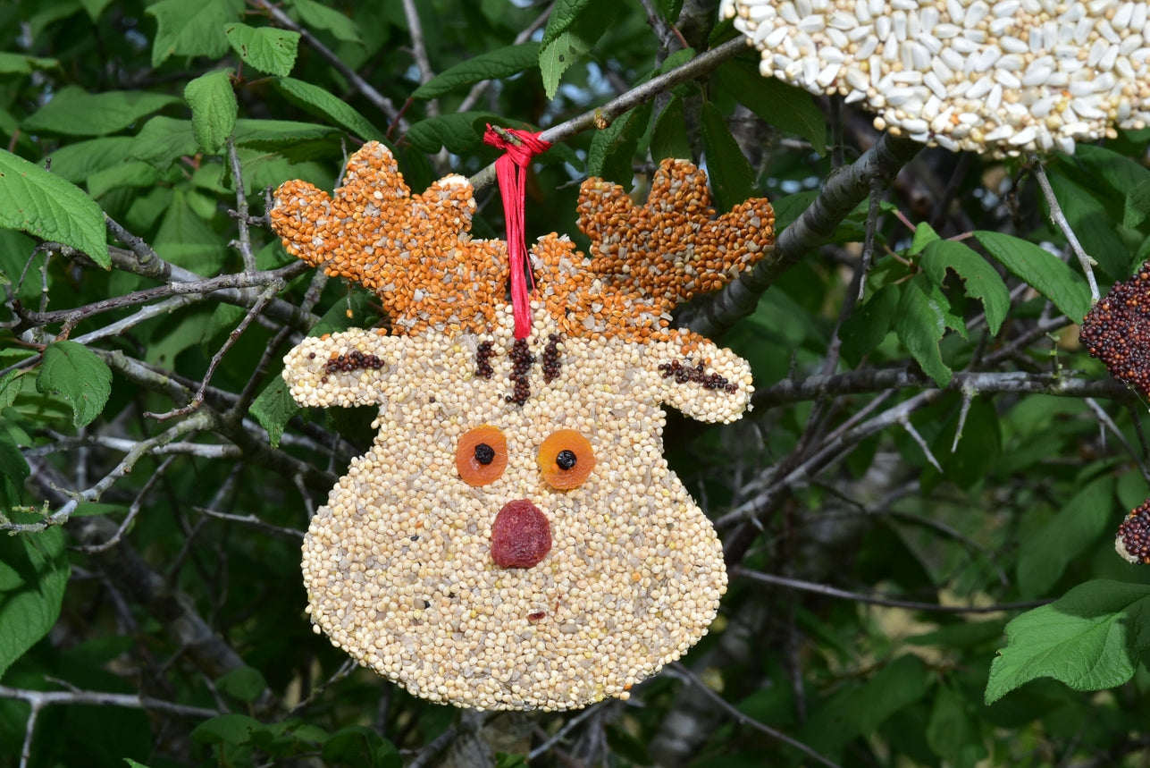Holiday “Rudolph” Christmas bird cookie