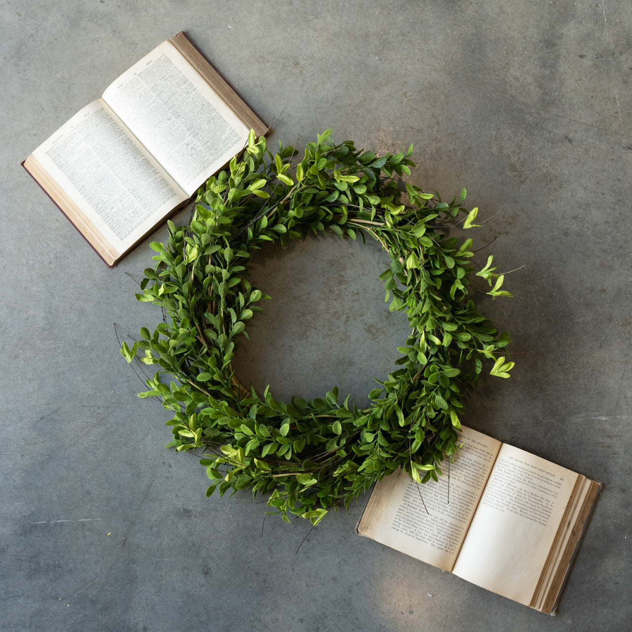 Wreath, Boxwood Leaf 22"