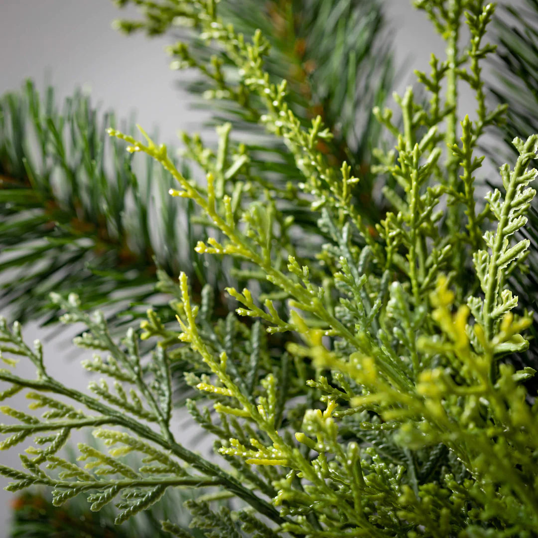 Lush Green Douglas Fir Pick