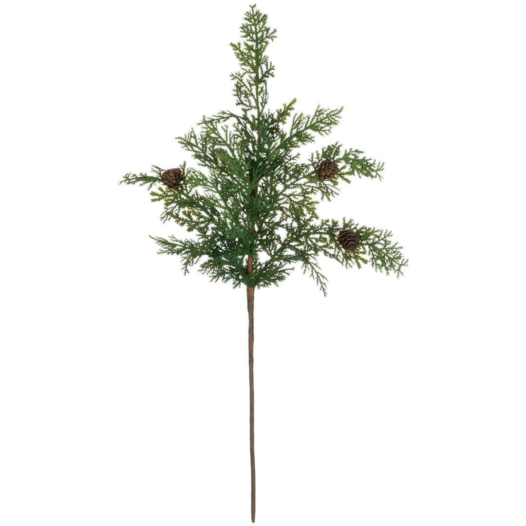 Cypress And Pine Cone Spray
