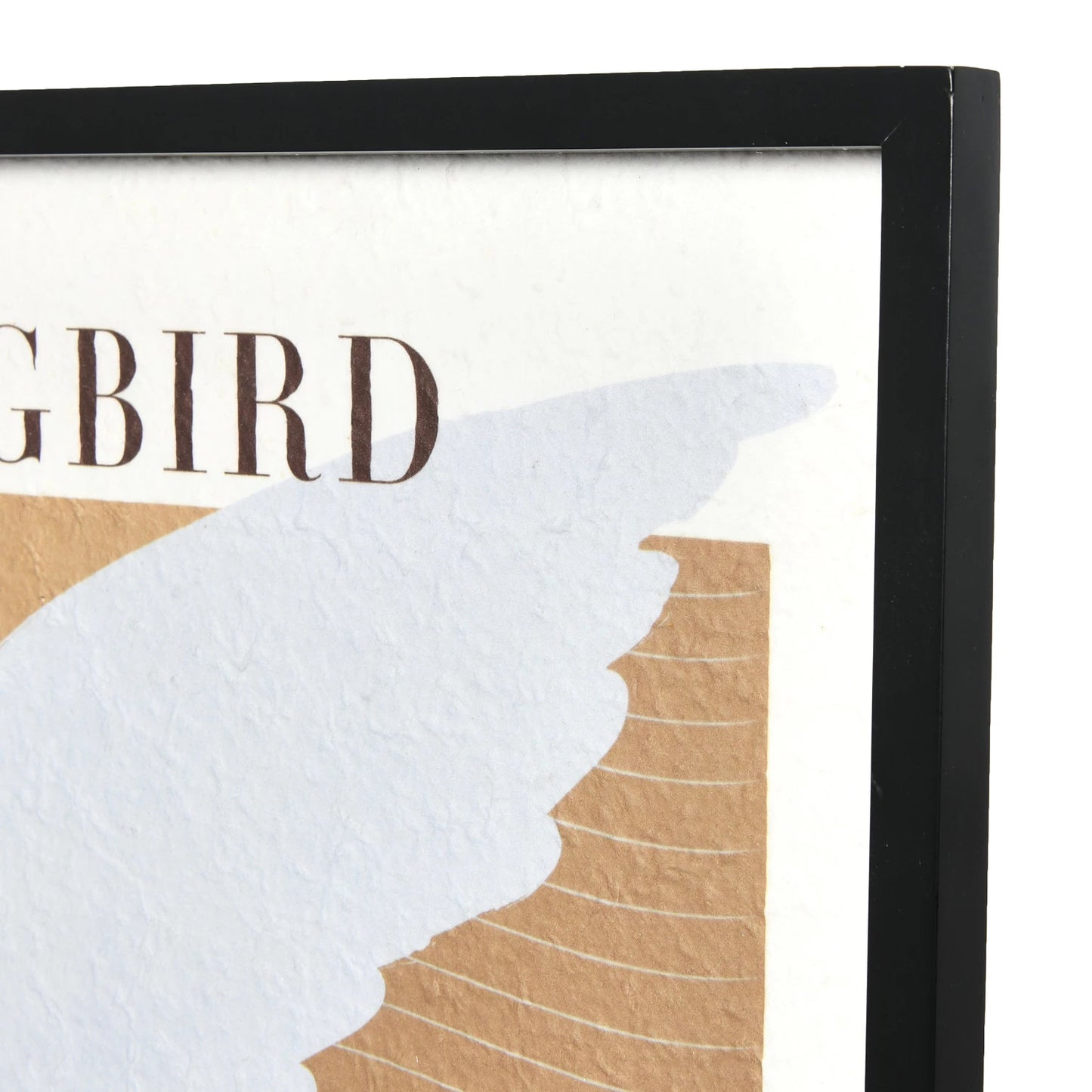 Wood Framed Wall Décor "Songbird"