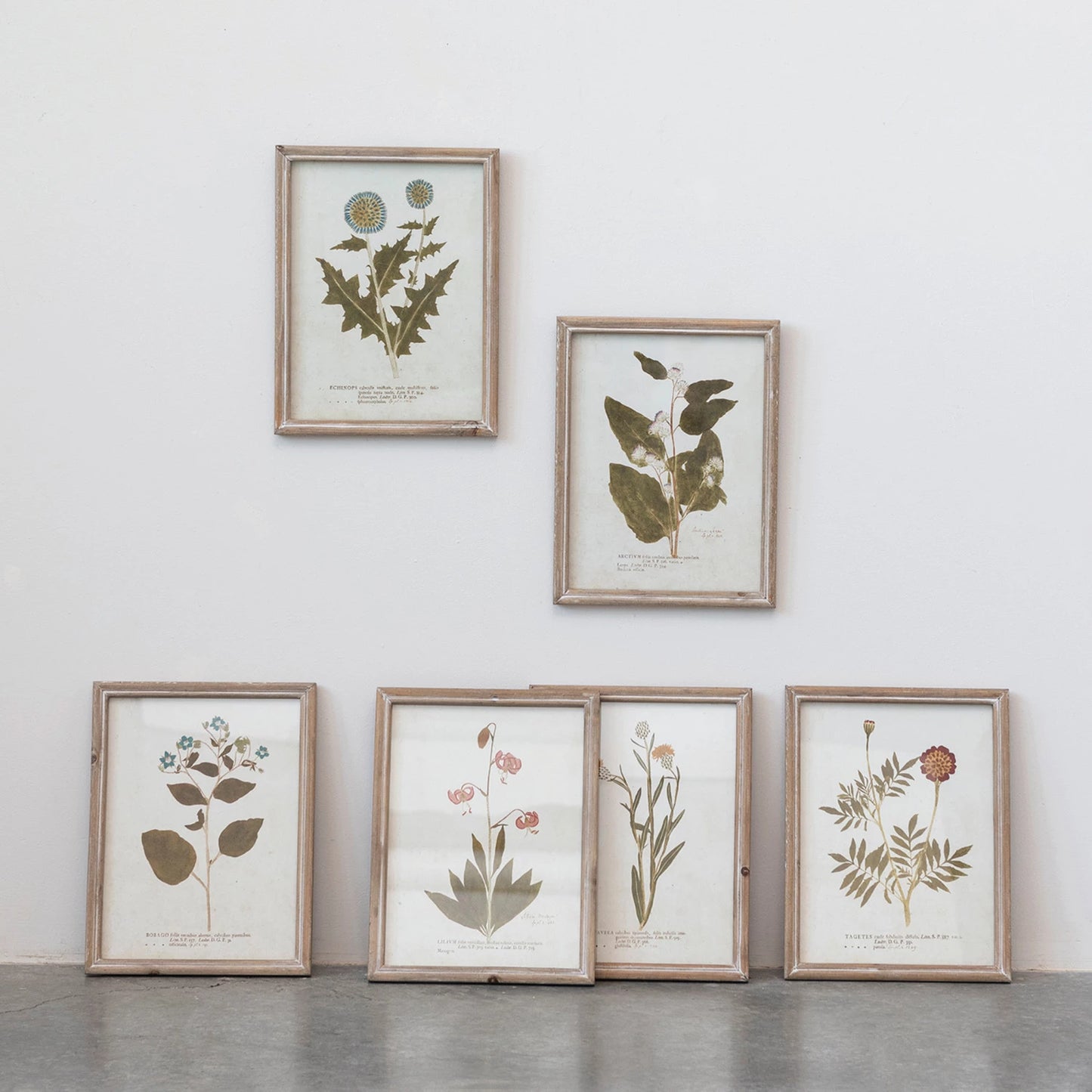 Wood Framed Glass Wall Décor w/ Botanical