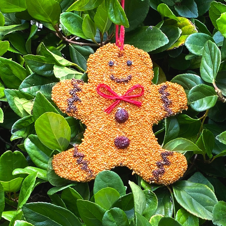 Holiday Gingerbread Man Wildlife Cookie