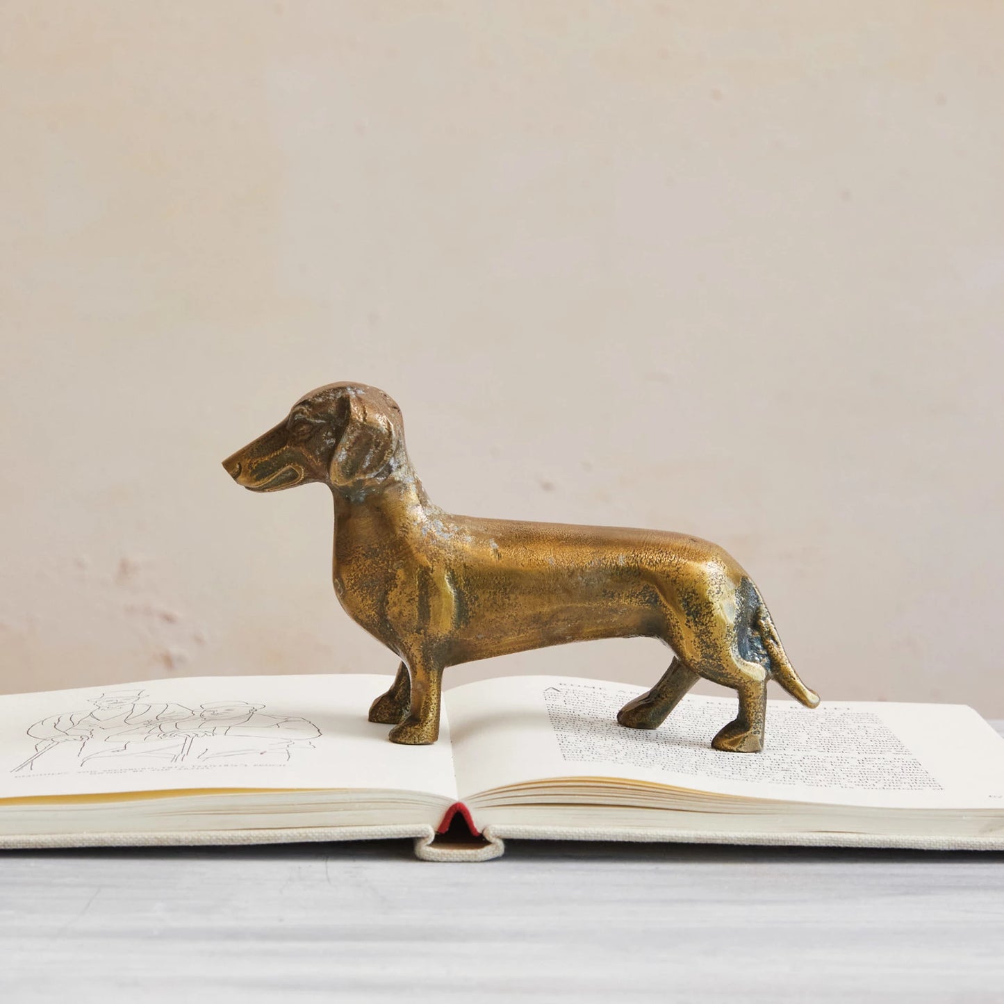 “Danny” Dachshund