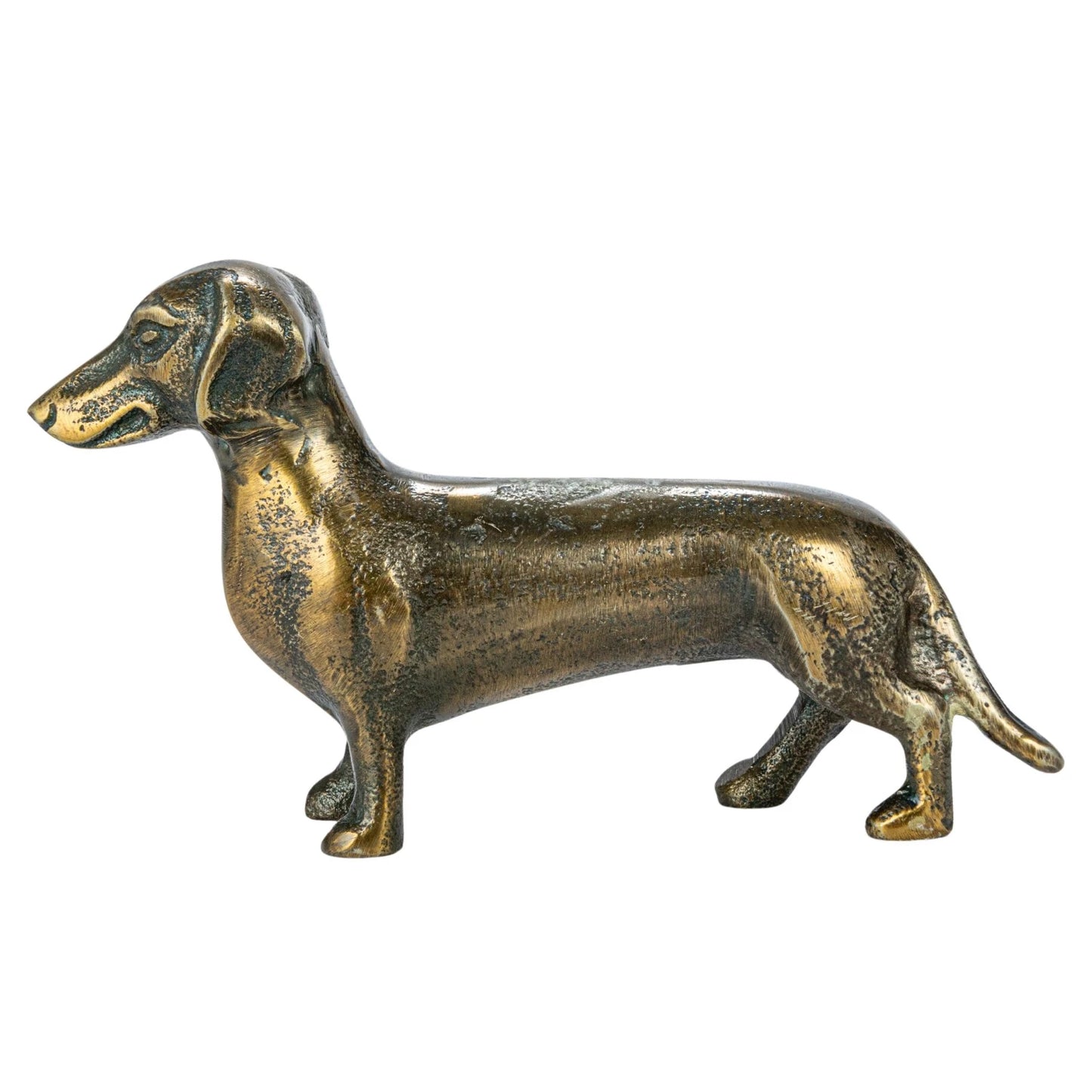 “Danny” Dachshund