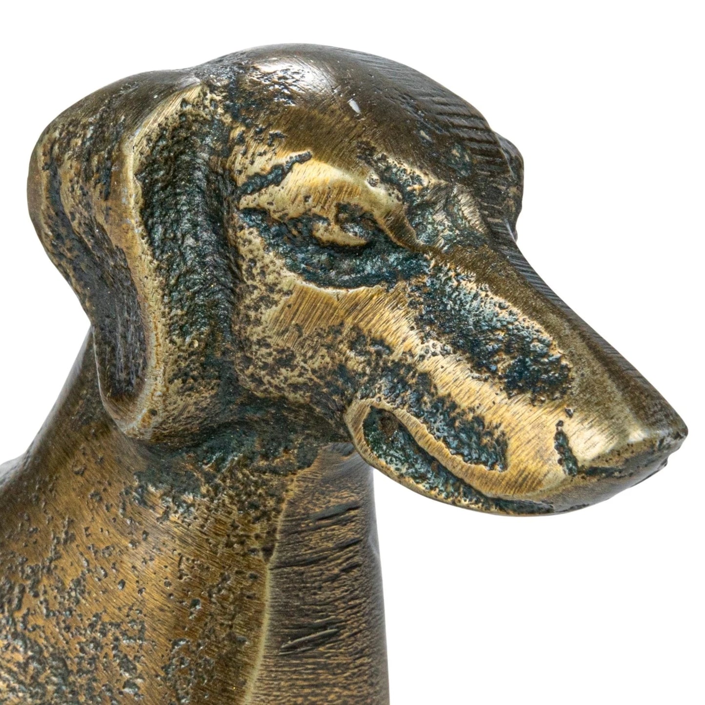 “Danny” Dachshund