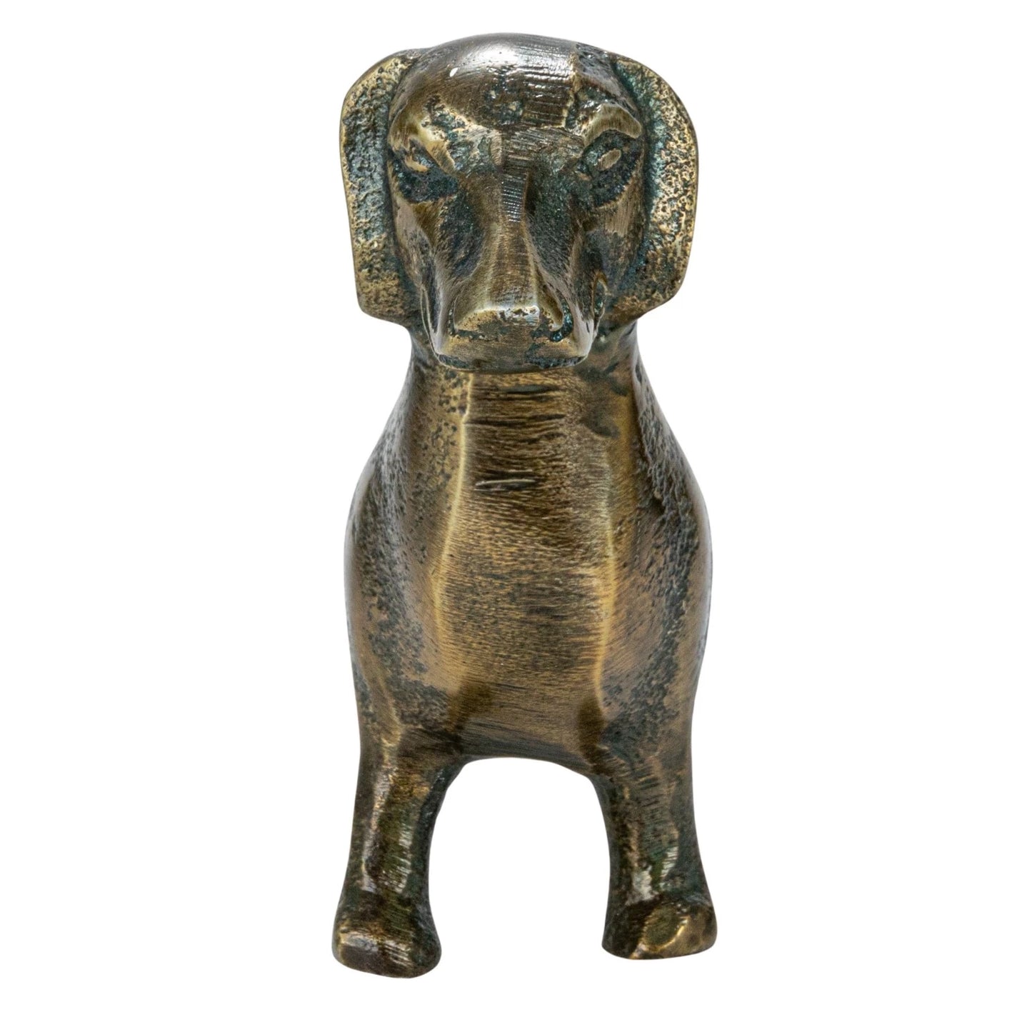“Danny” Dachshund