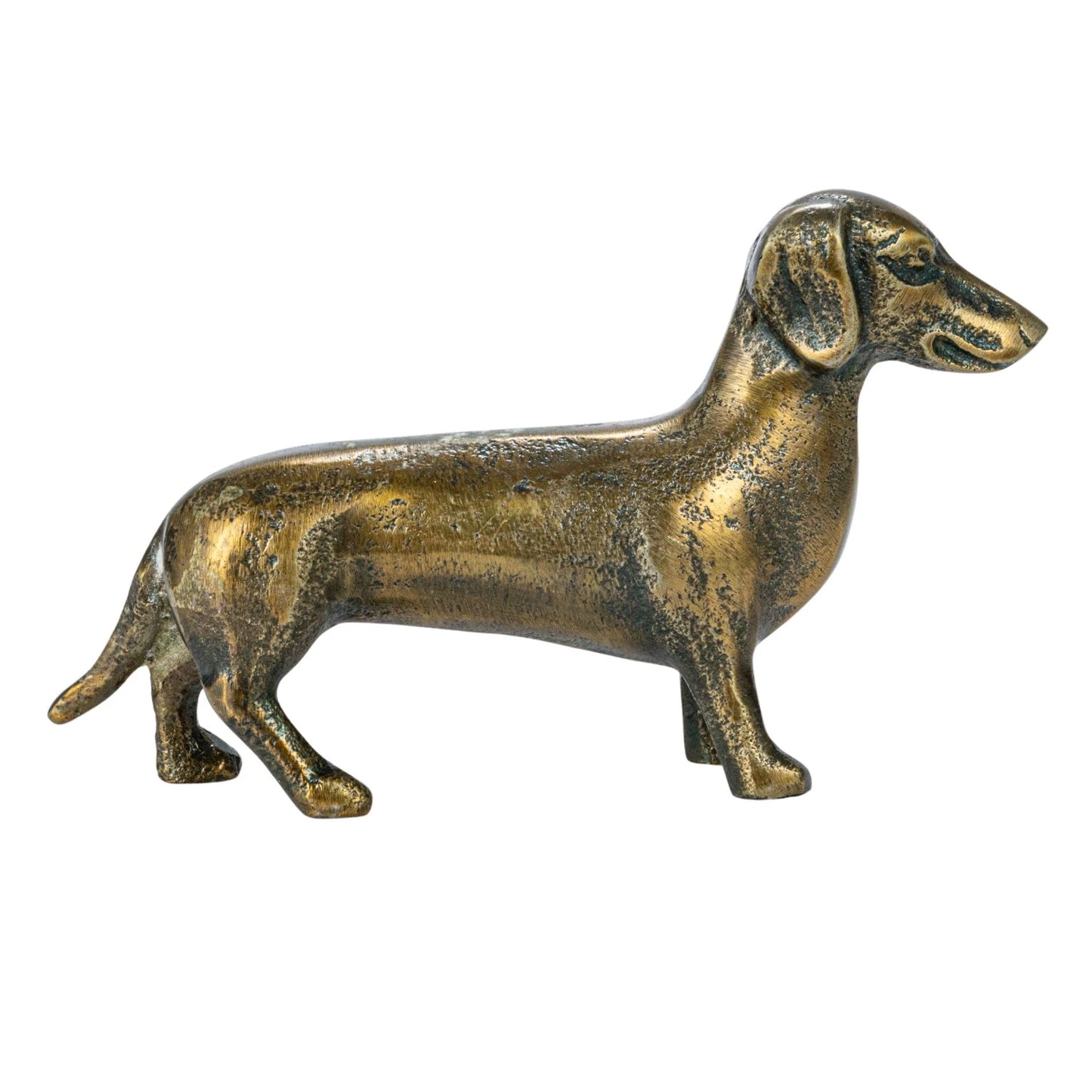 “Danny” Dachshund
