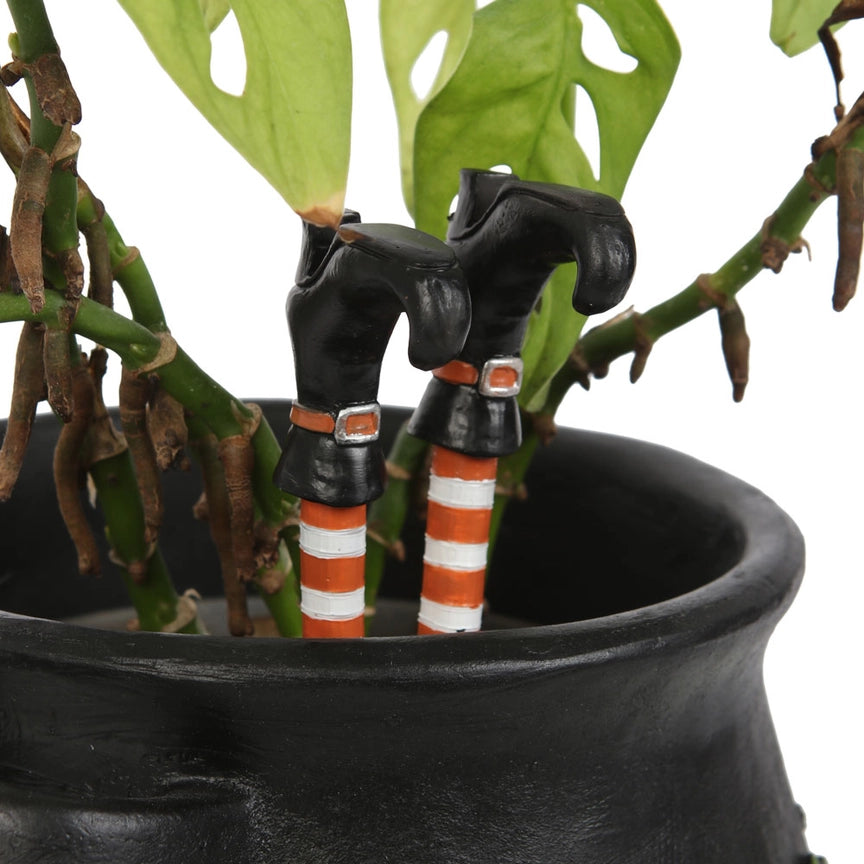 Witch Leg Halloween Plant Pot Ornaments, Set of 2 (Pre-Order)