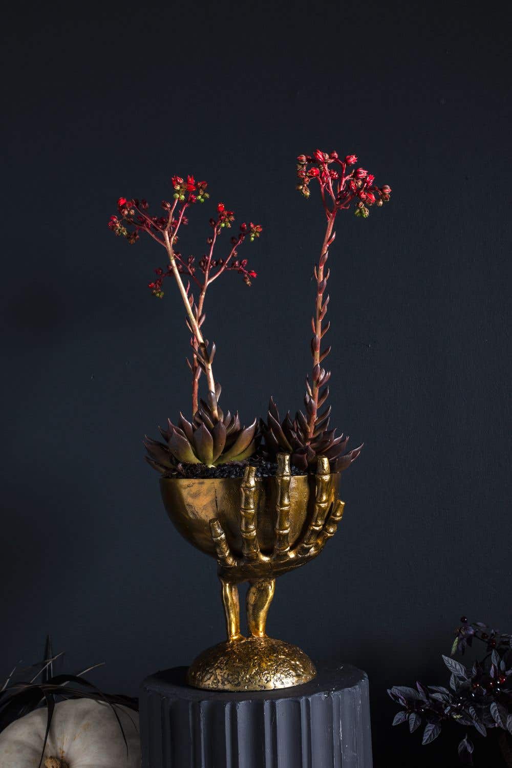 Fall-Maleficent Bowl