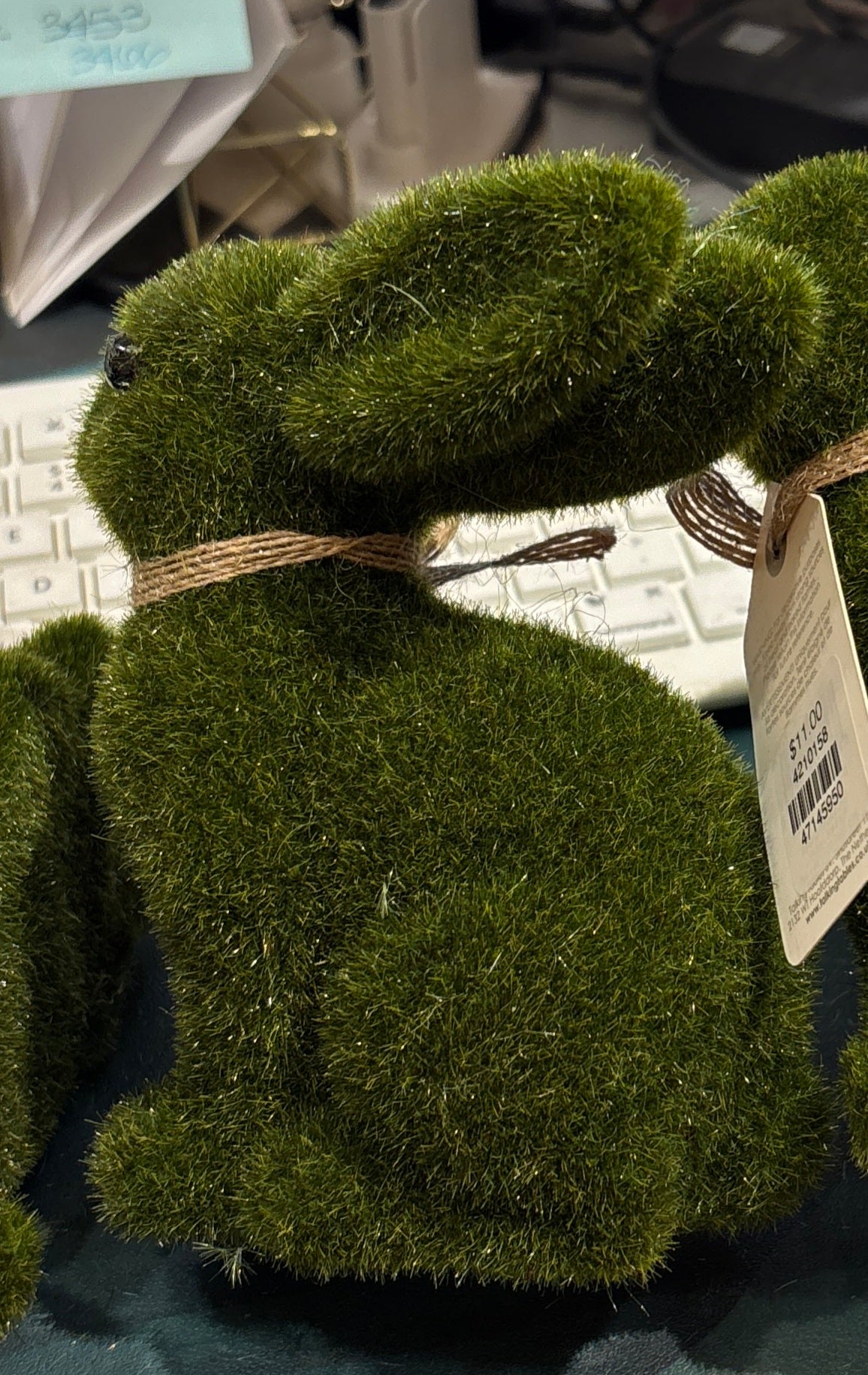 Moss Bunny