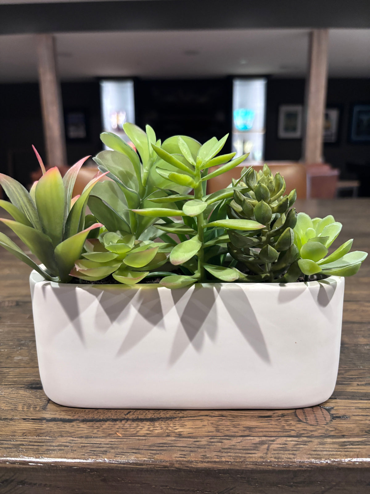 Rectangle Succulent Arrangement