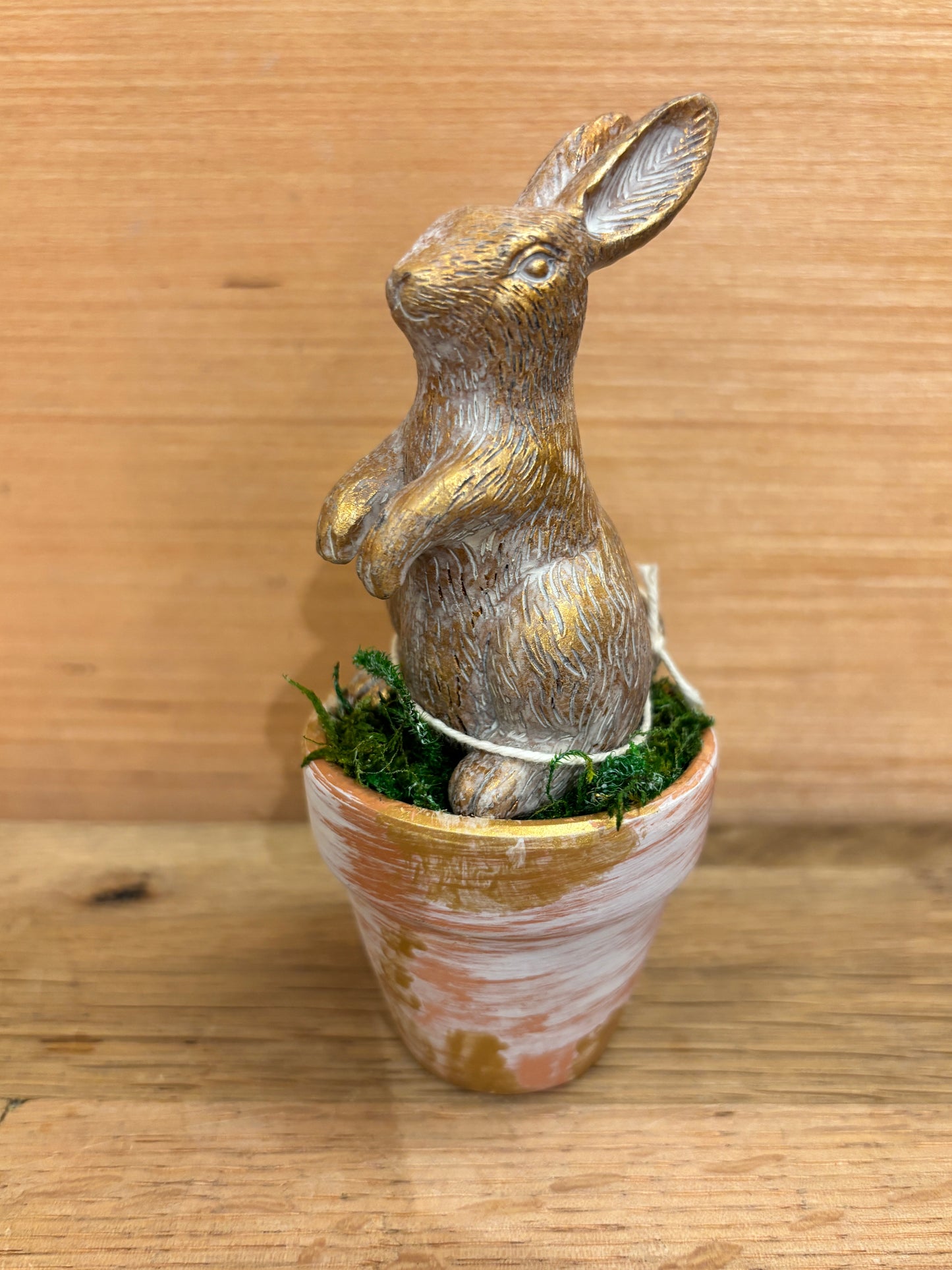 Gold Bunny in Pot