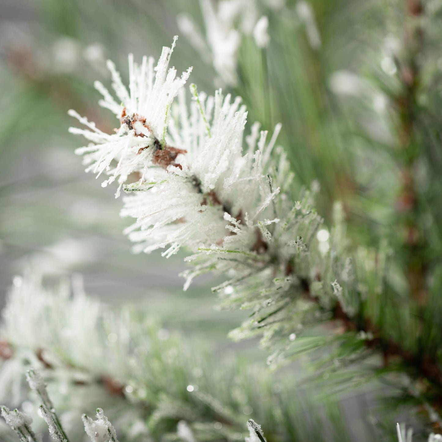 Flocked Pine Spray