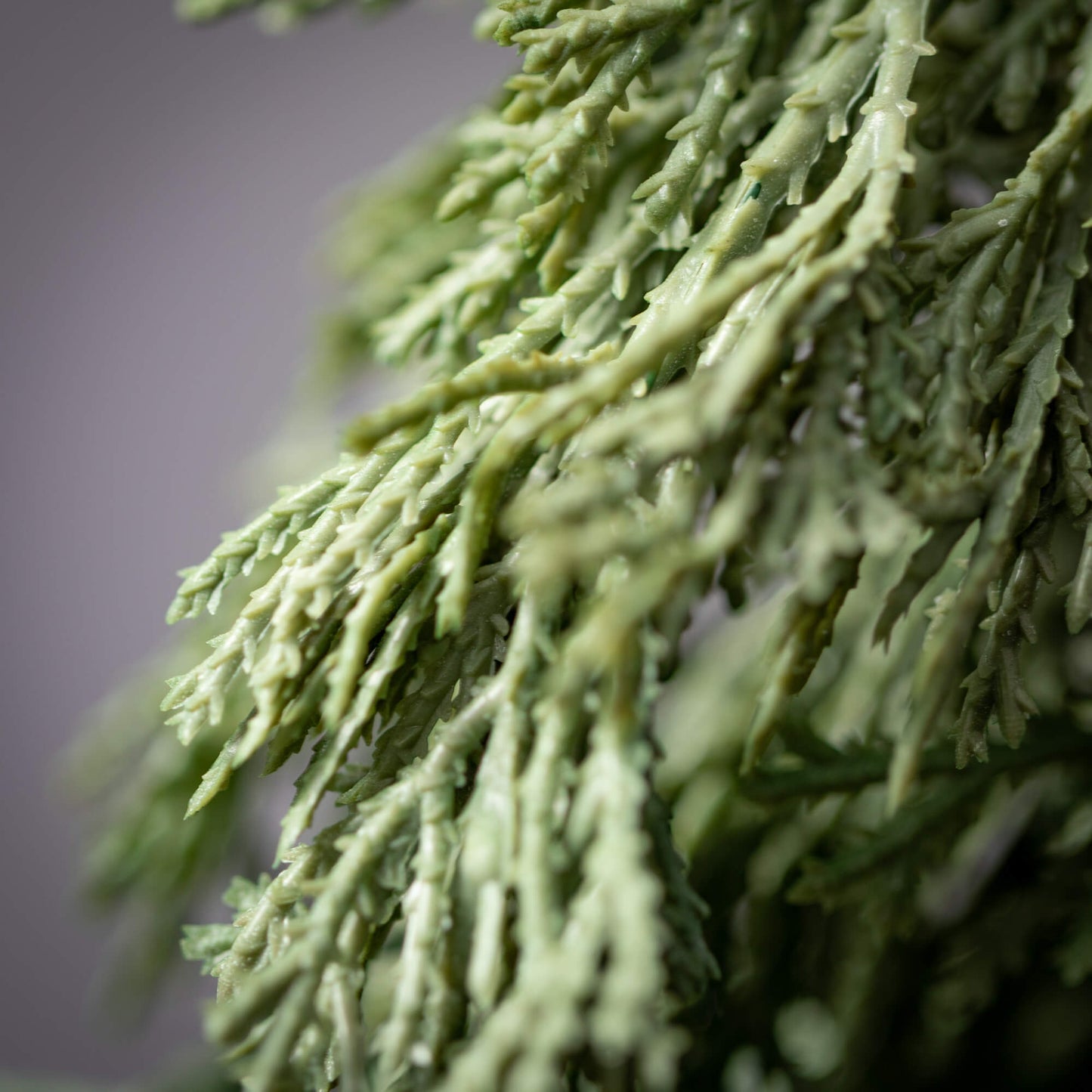 Cedar Greenery Swag