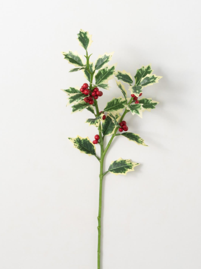 Holiday Stem “Holly”