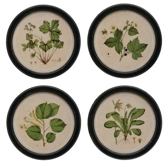 Round Framed Botanical Art
