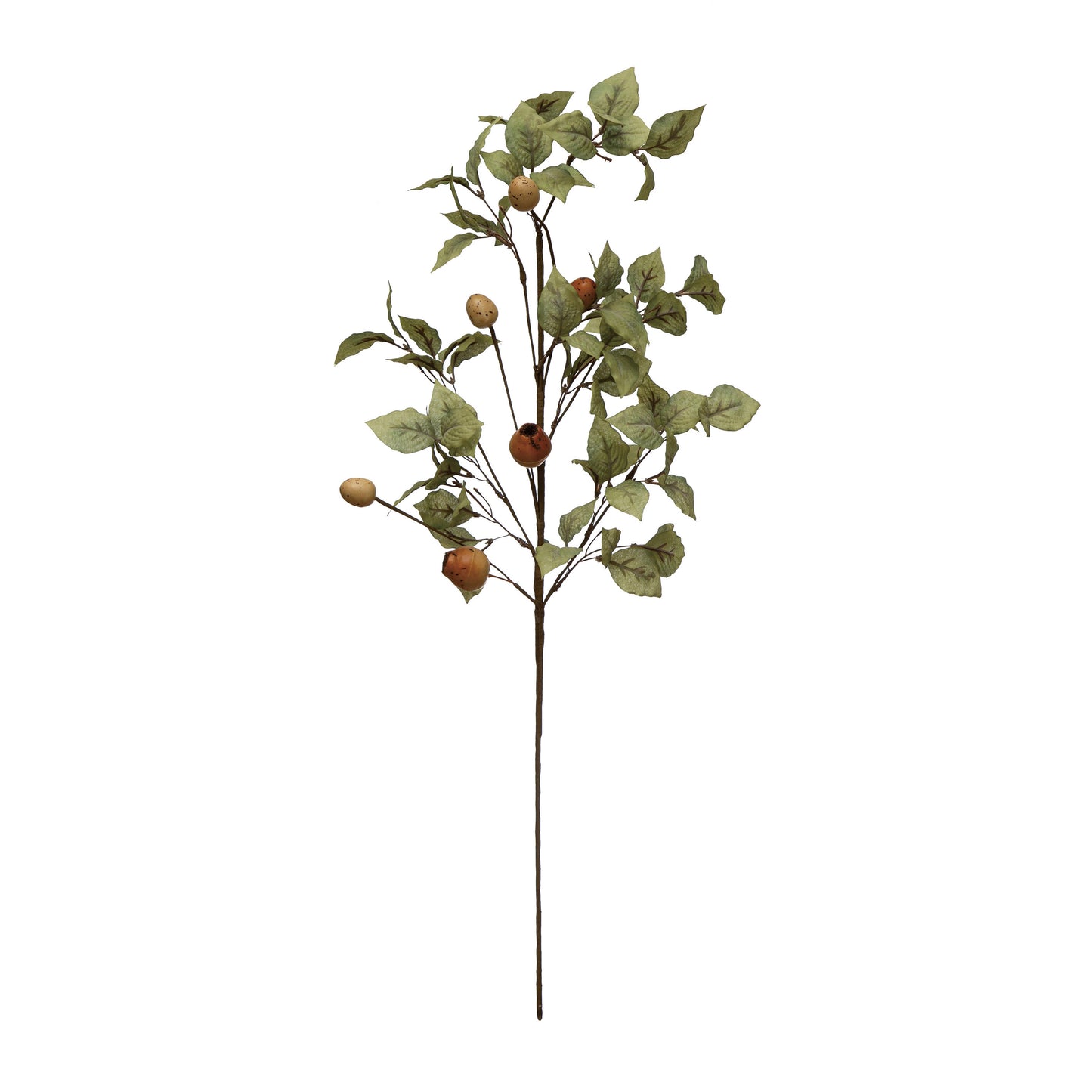 Stem-“Rose Hip”