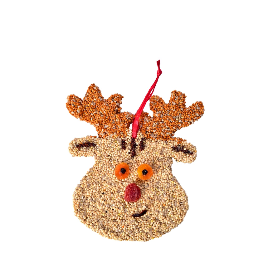 Holiday “Rudolph” Christmas bird cookie