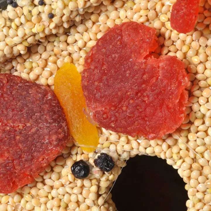 Seed Coated Birdhouse, Spring Fruit B&B