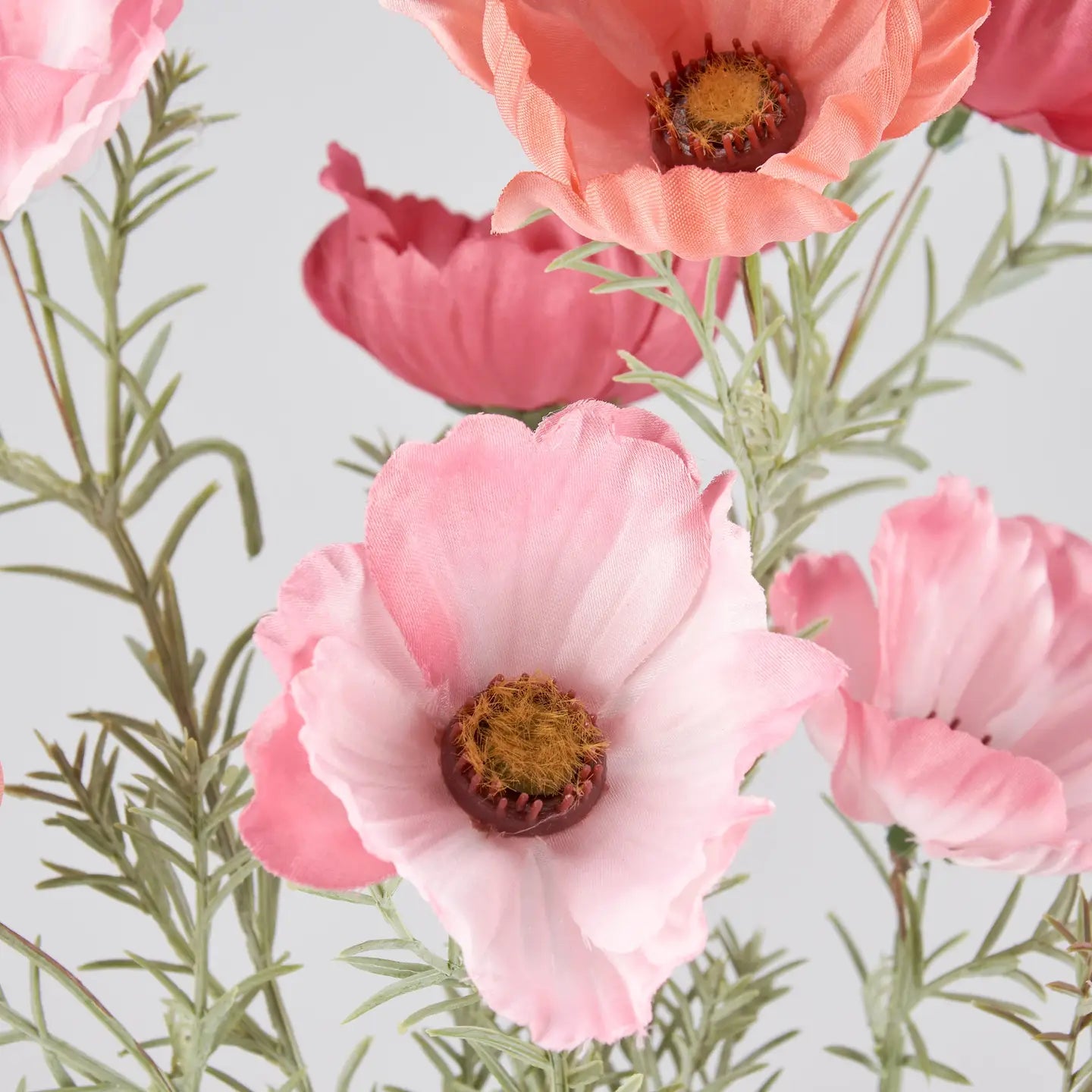 Peach Pink Cosmos Bouquet