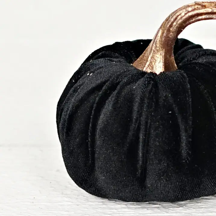 Velvet Pumpkin with Golden Stem, Black 4"