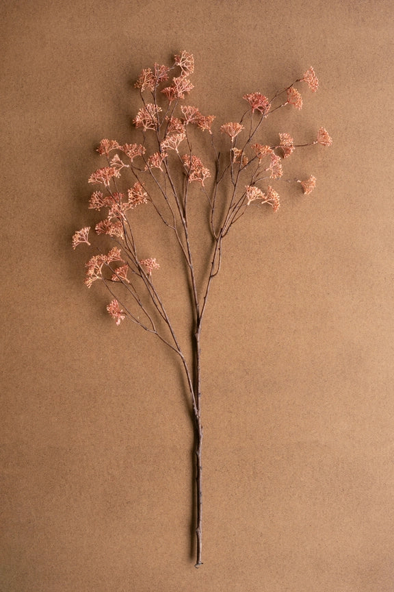 Rice Flower Stem, Blush