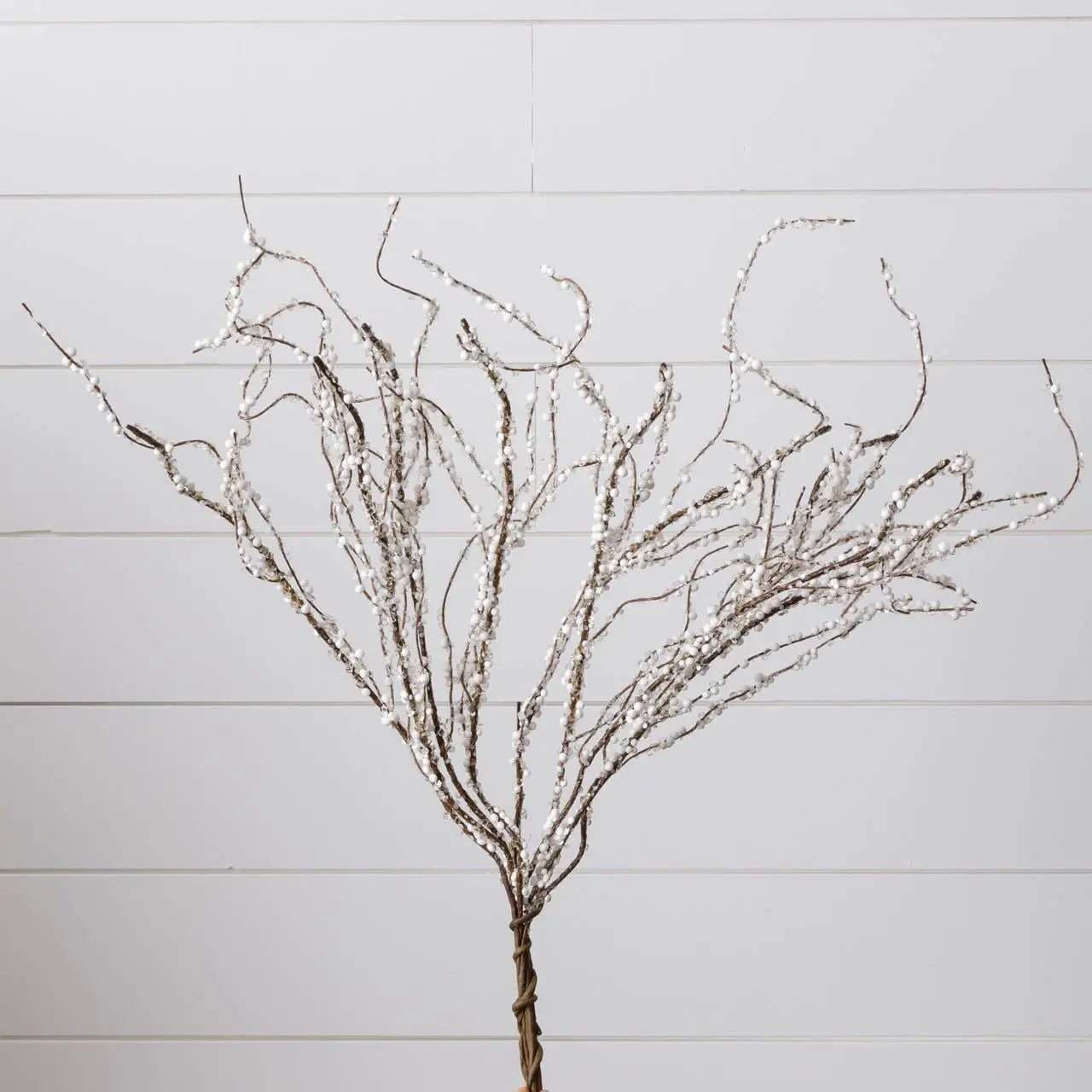 Branch, Ice Crystals and Snow