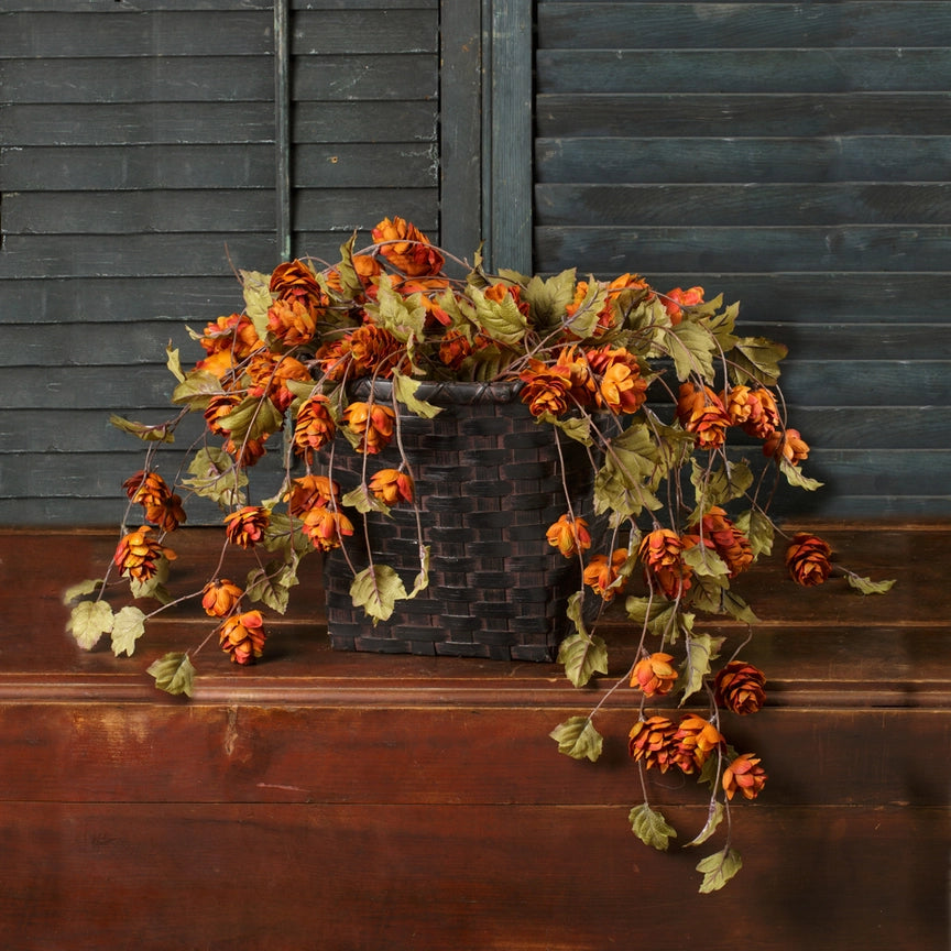 Hops Stem, Sienna