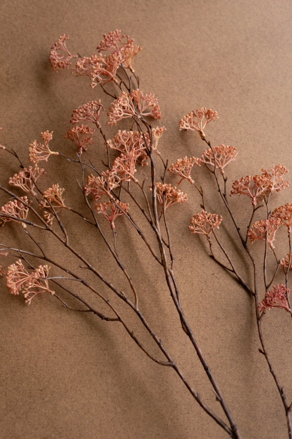 Rice Flower Stem, Blush