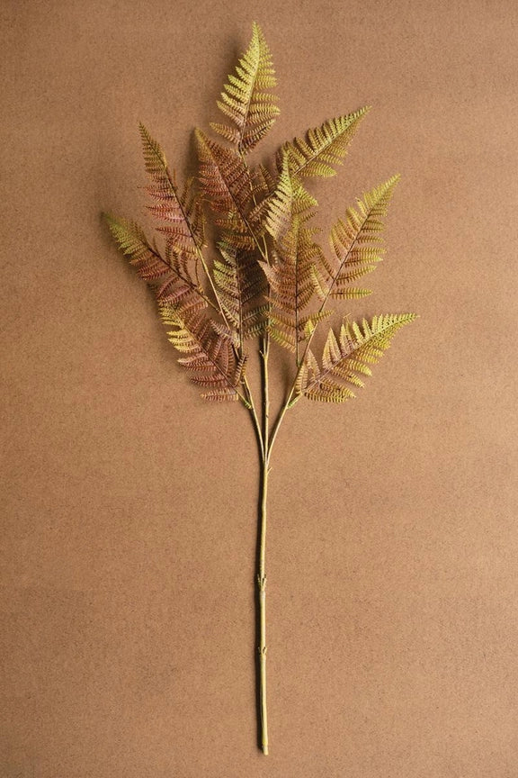 Autumn Fern Stem