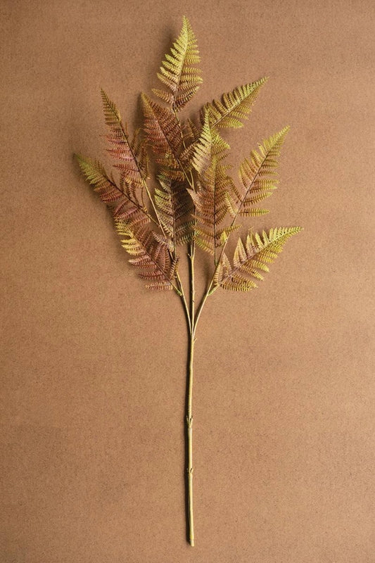 Autumn Fern Stem