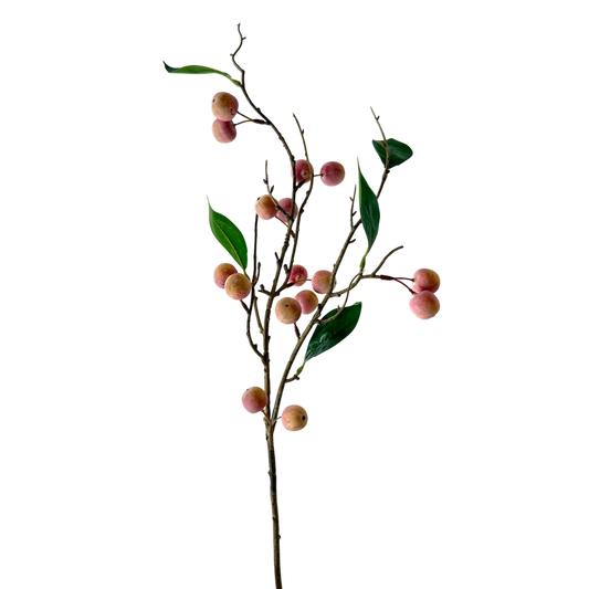 Mini Red Apple Stem