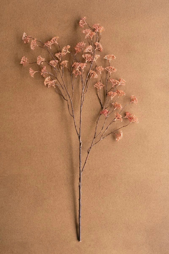 Rice Flower Stem, Blush