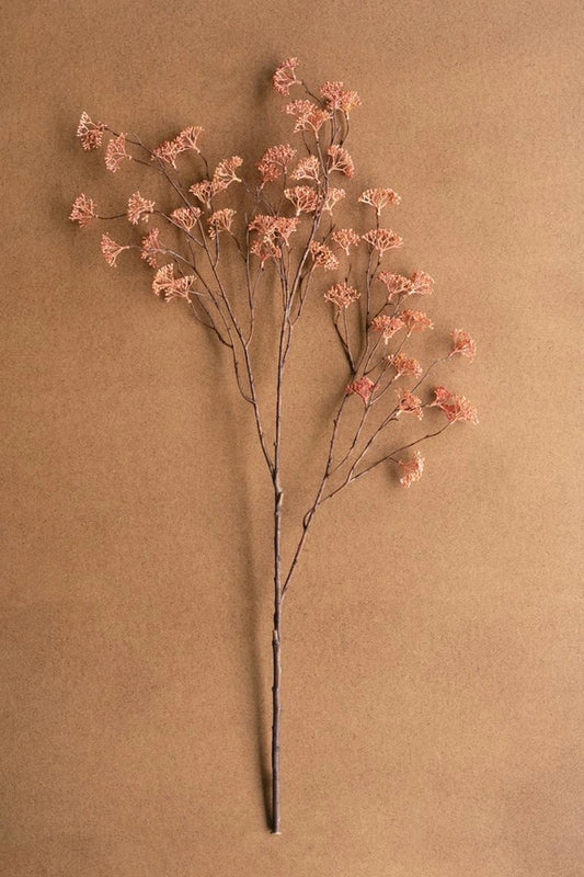 Rice Flower Stem, Blush