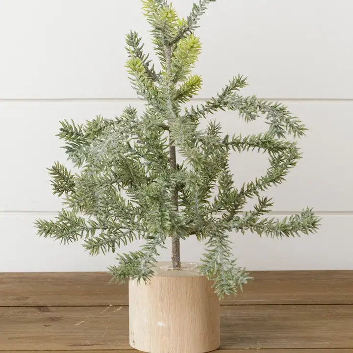 Frosted Pine Tree in Wooden Base, 12 Inches