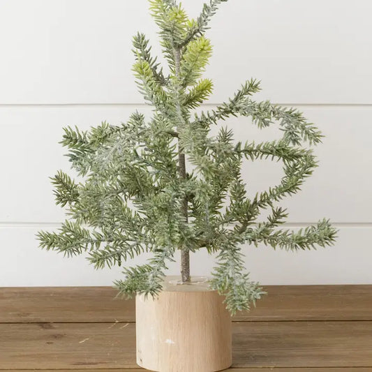 Frosted Pine Tree in Wooden Base, 12 Inches