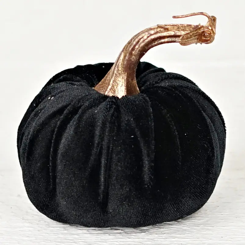 Velvet Pumpkin with Golden Stem, Black 4"