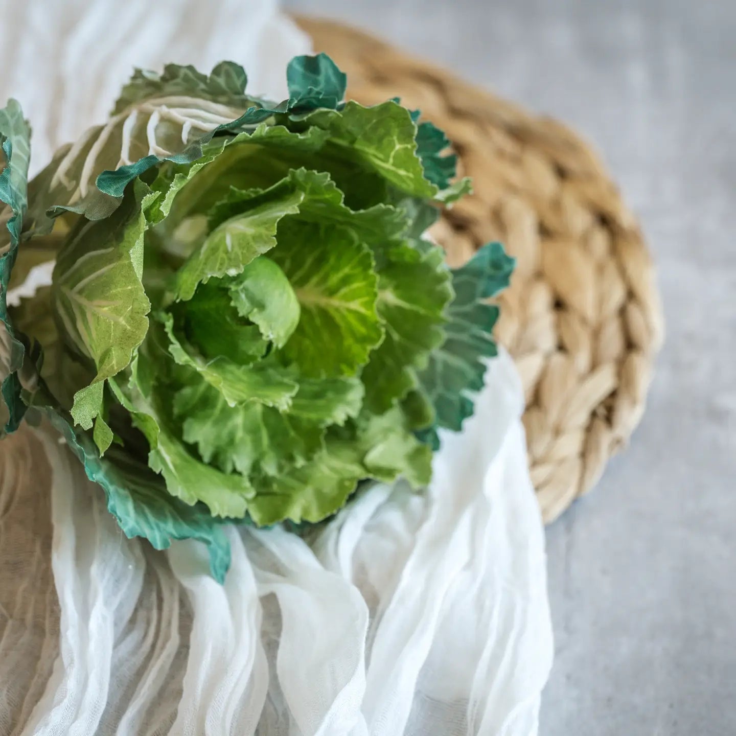 Cabbage Stem