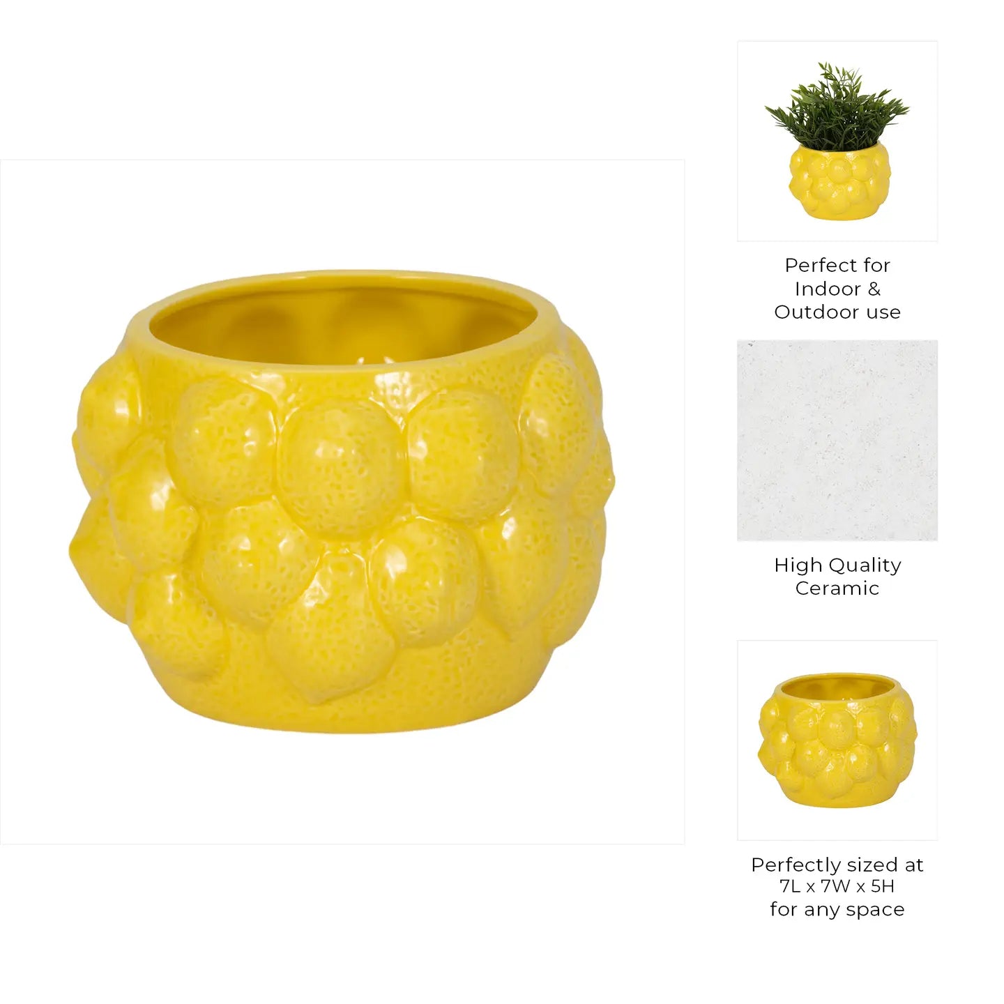 Planter, Lemons