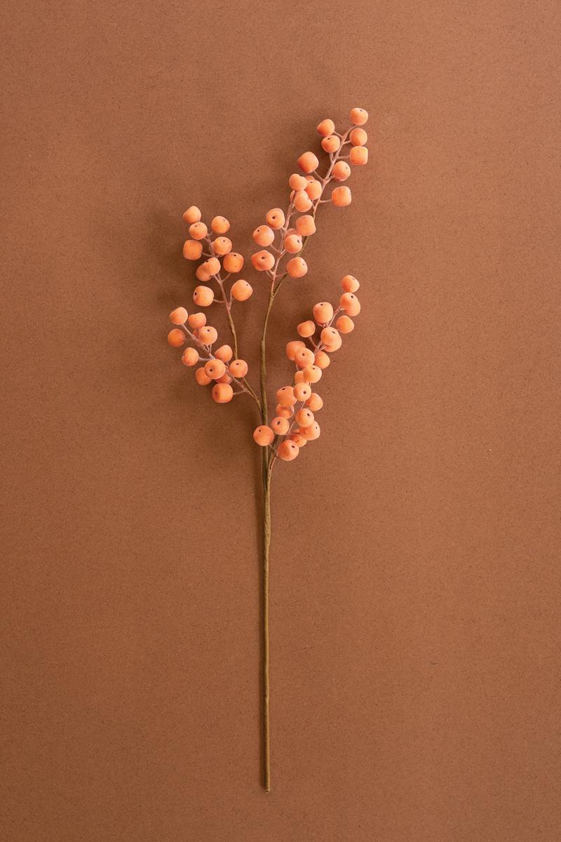 Botanica #9020